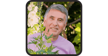prostadine supplement